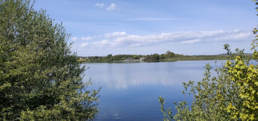 THRYBERGH COUNTRY PARK